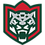 Ак Барс U15